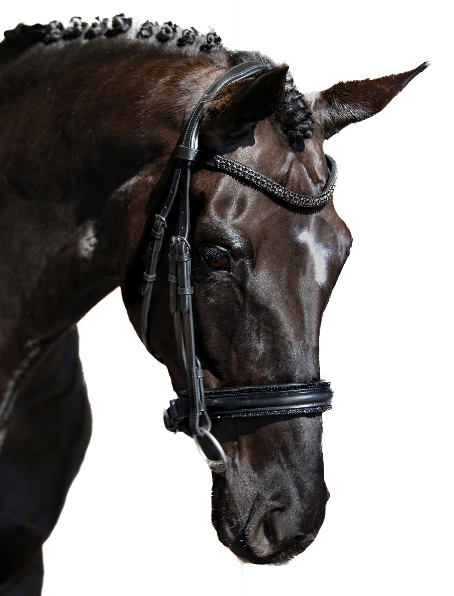 Premium Black Snaffle Bridle 'Glamour'