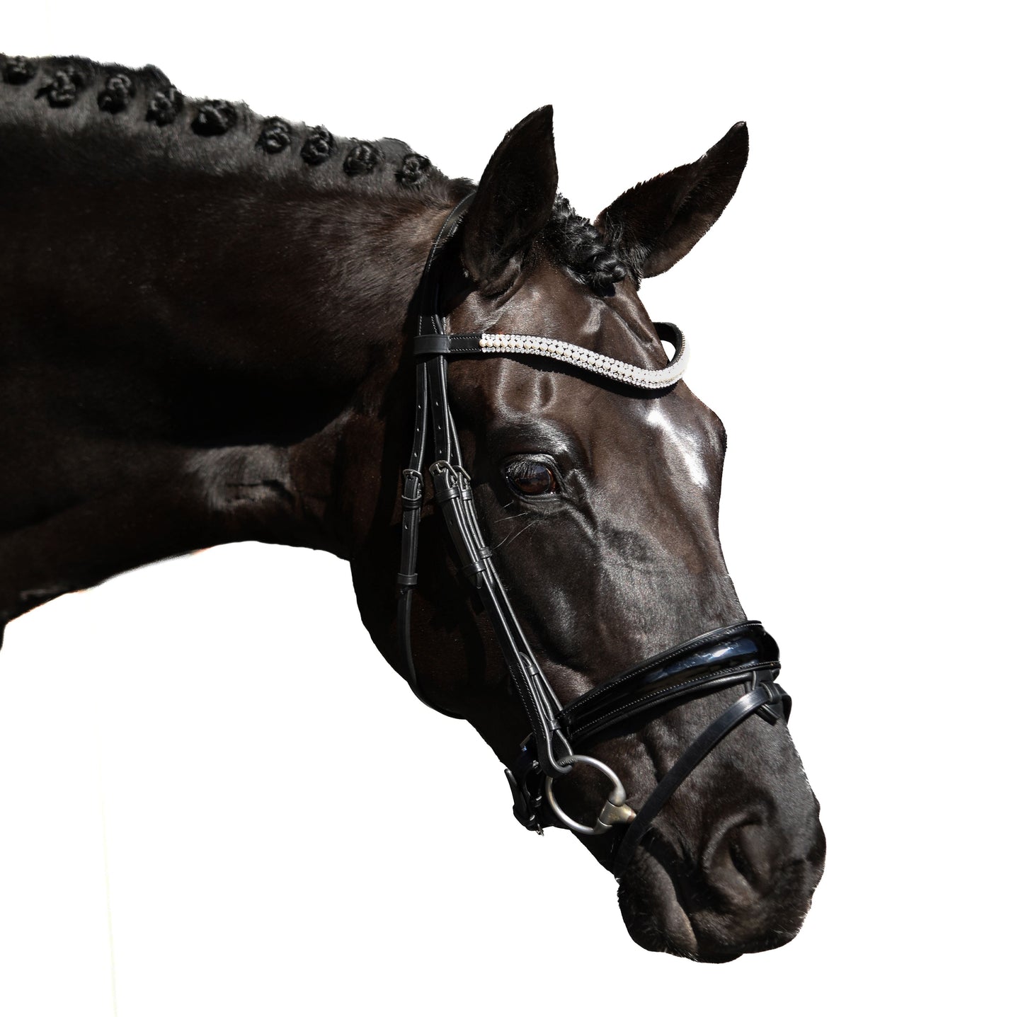 Premium Black Snaffle Bridle 'Jewel'