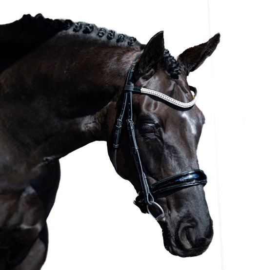 Premium Black Snaffle Bridle 'Prestige'