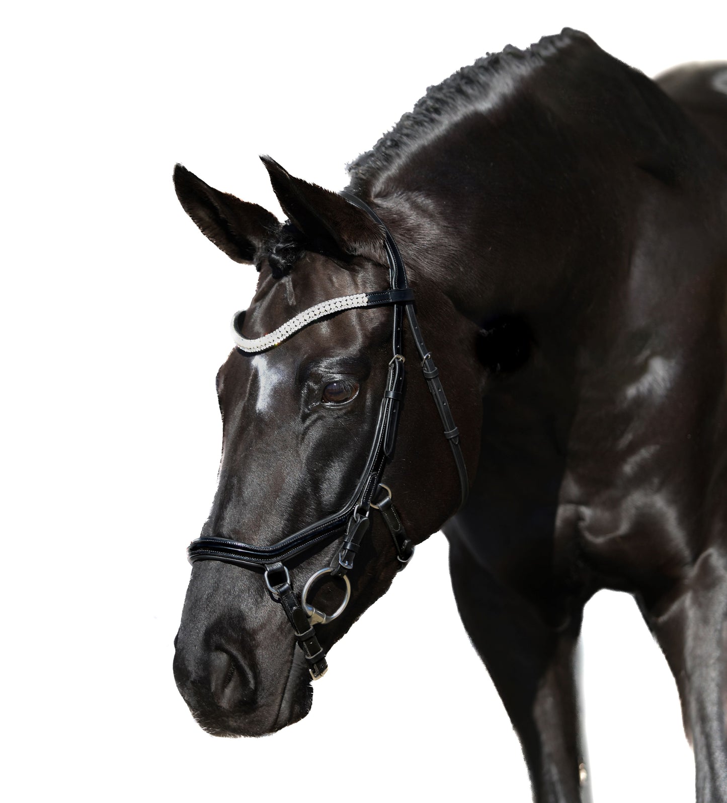 Premium Black Comfort Bridle 'Diamond'