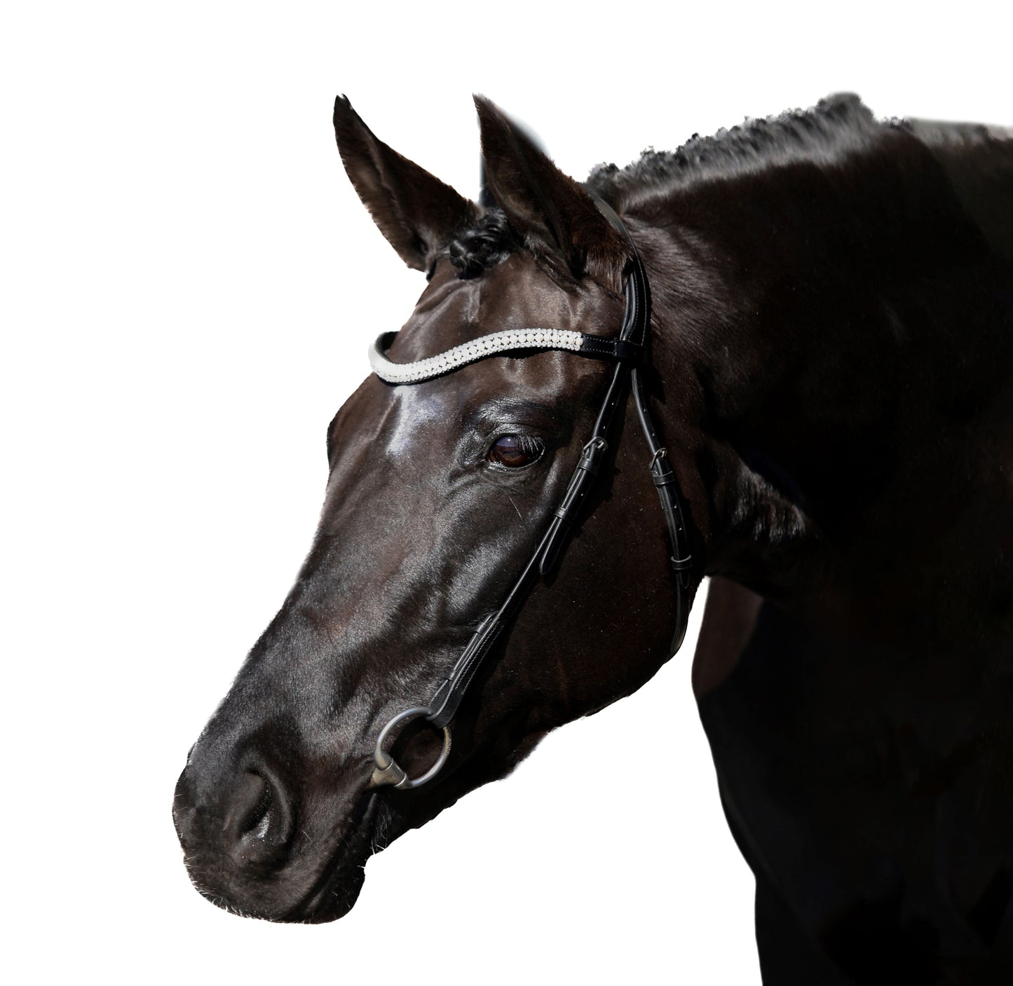 Black Nosebandless Bridle 'Dolce'