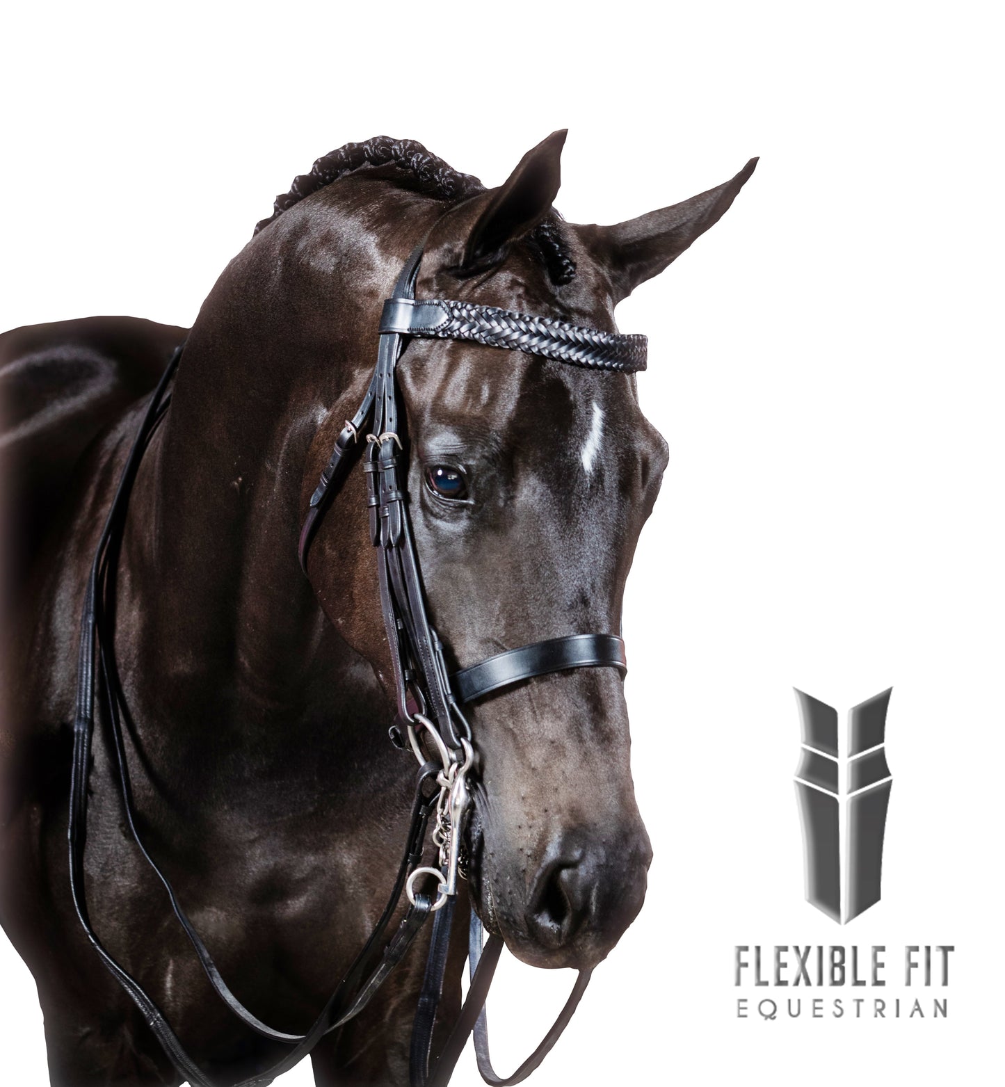 Premium Black Double Show Bridle 'Elation'