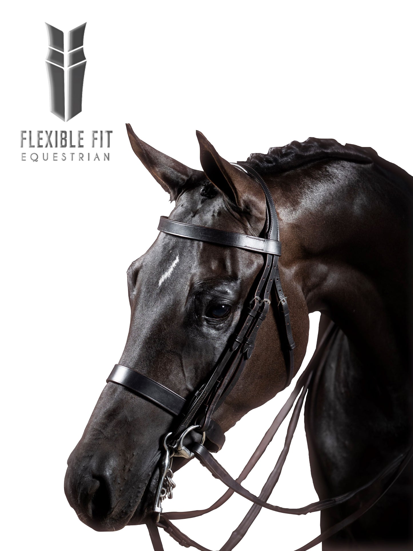 Premium Havana Double Show Bridle 'Eclipse'