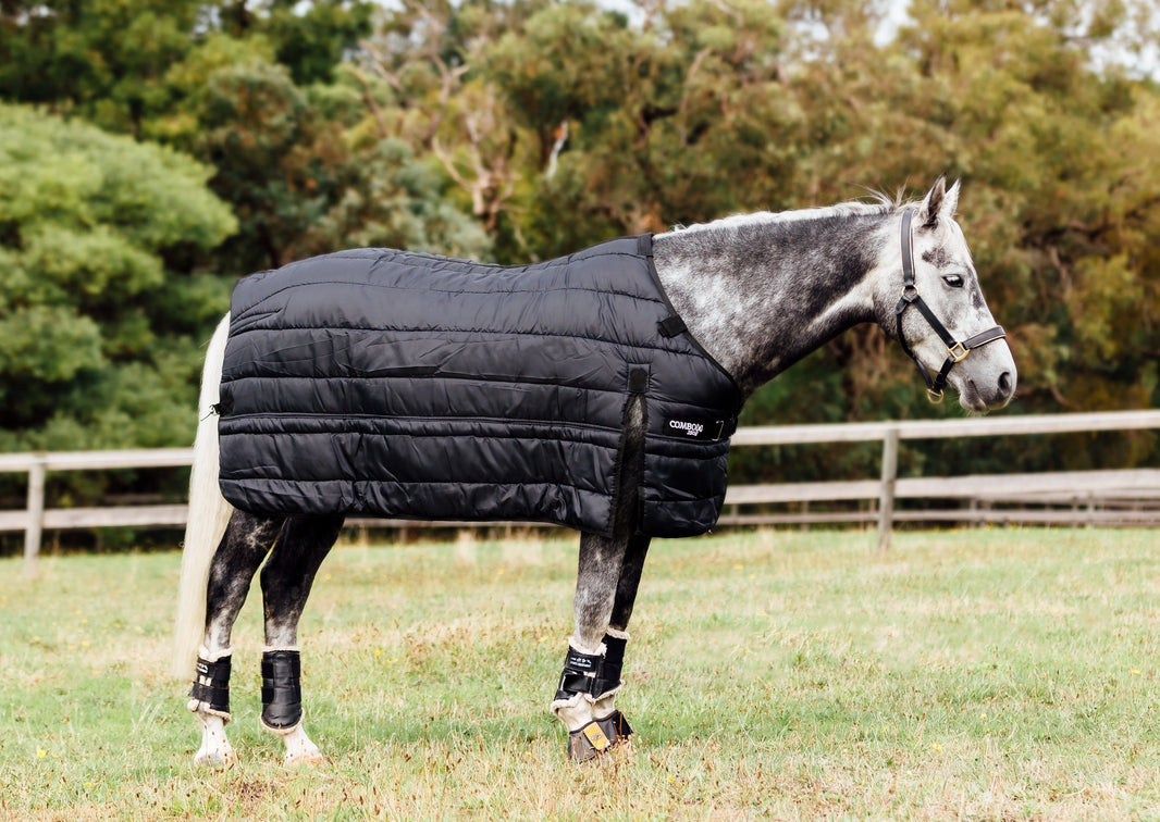 Winter Horse Rugs Australia Fleece, Doona & Winter Combo Rugs