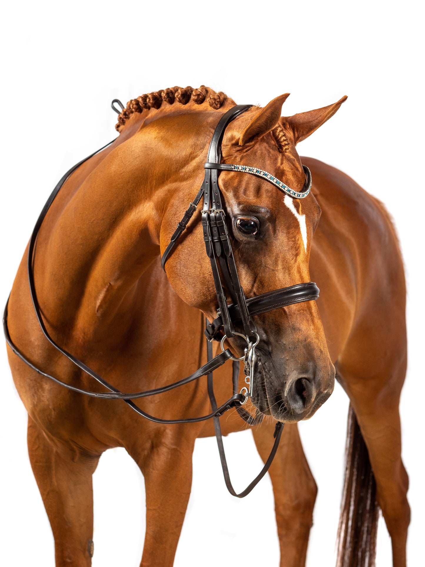 Premium Havana Double Bridle 'Discovery'