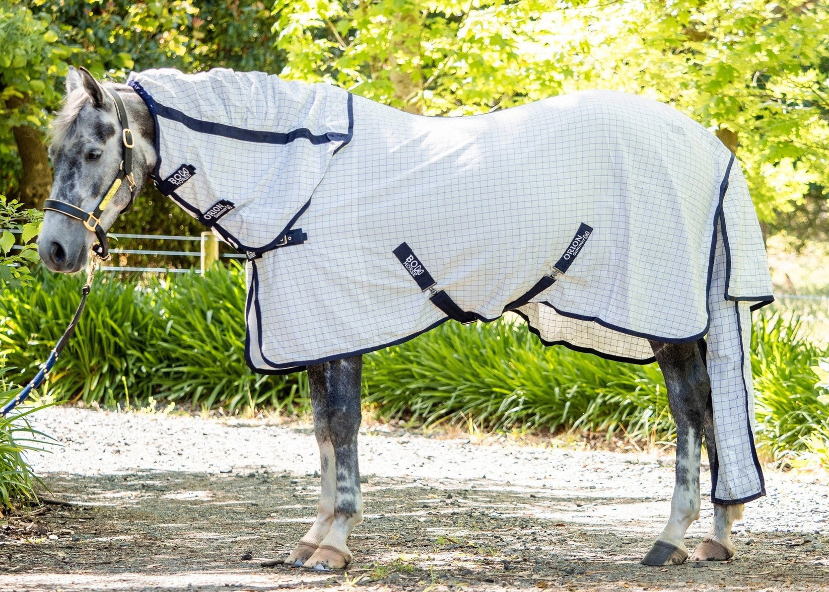 Bow Horse Summer Rug - UV Protection & Breathable Summer Horse Cover