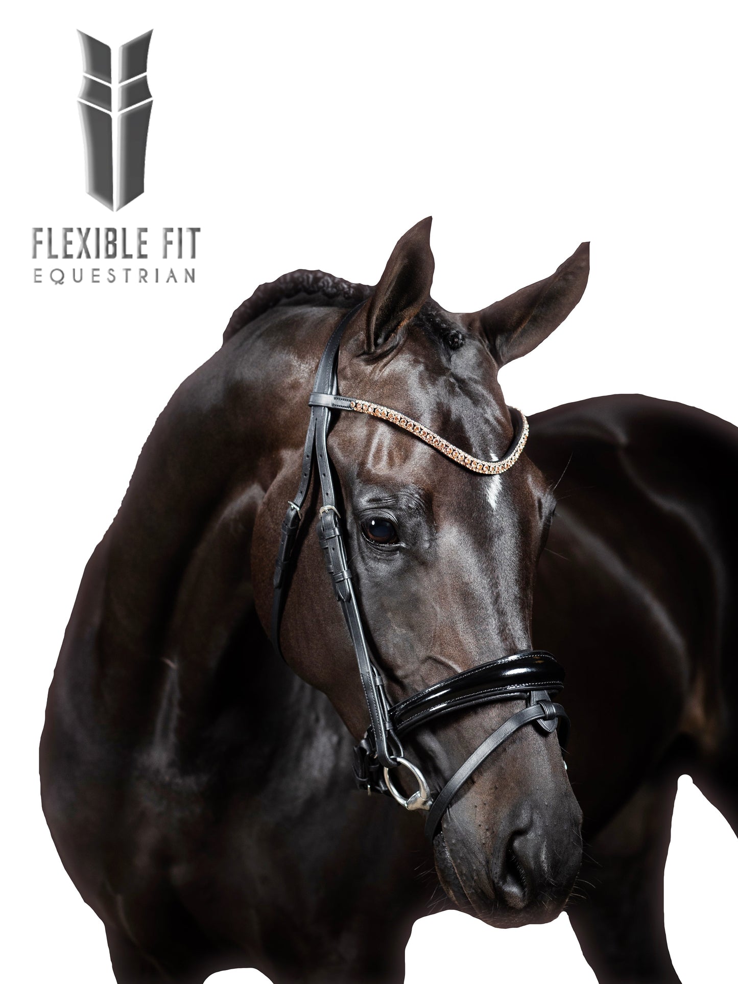 Premium Black Snaffle Bridle 'Ravel'