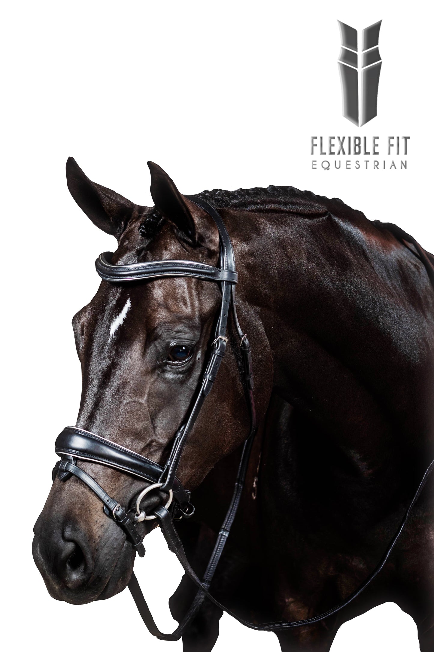 Premium Black Snaffle Bridle 'Columbus'