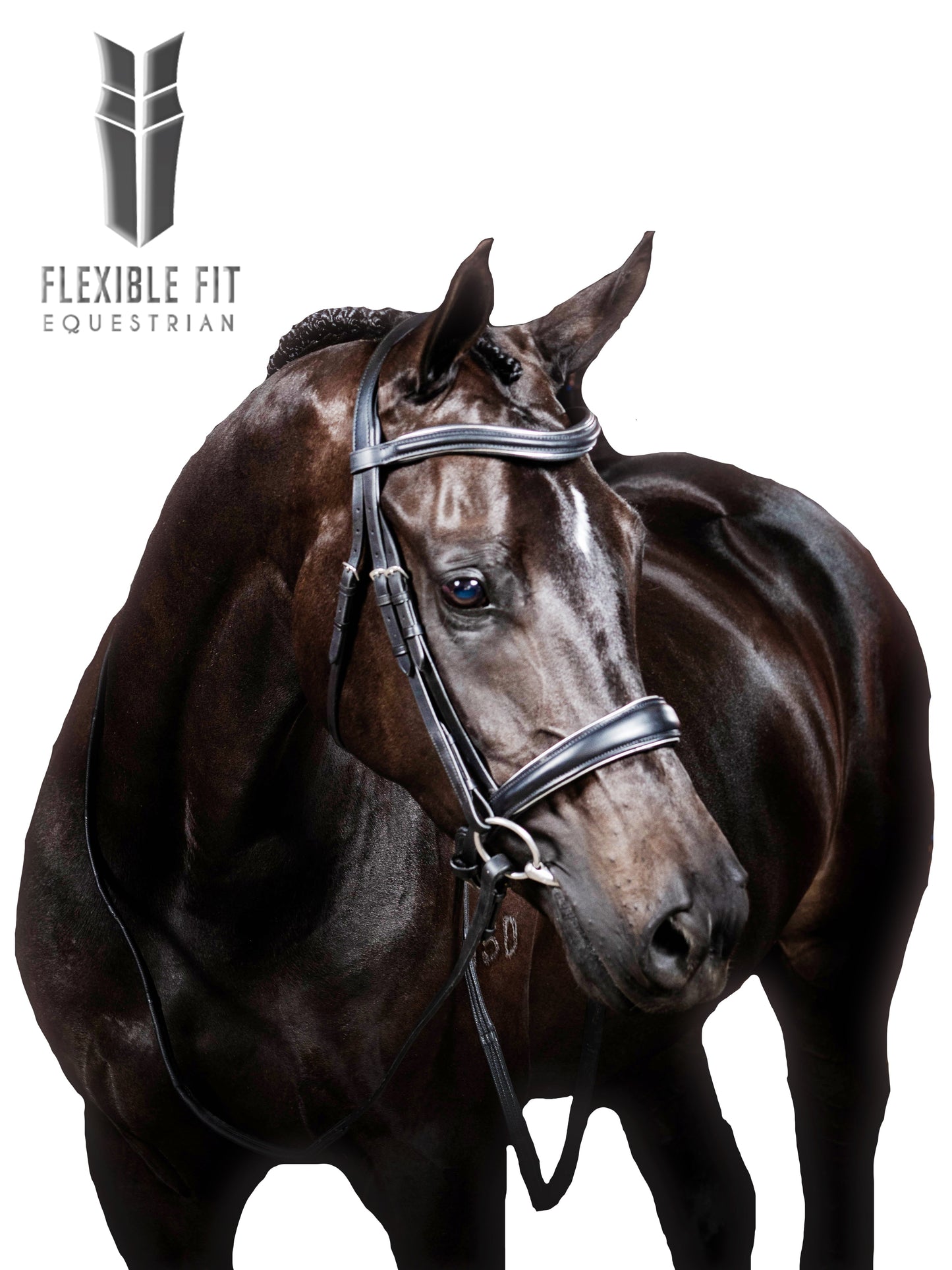 Premium Black Snaffle Bridle 'Columbus'