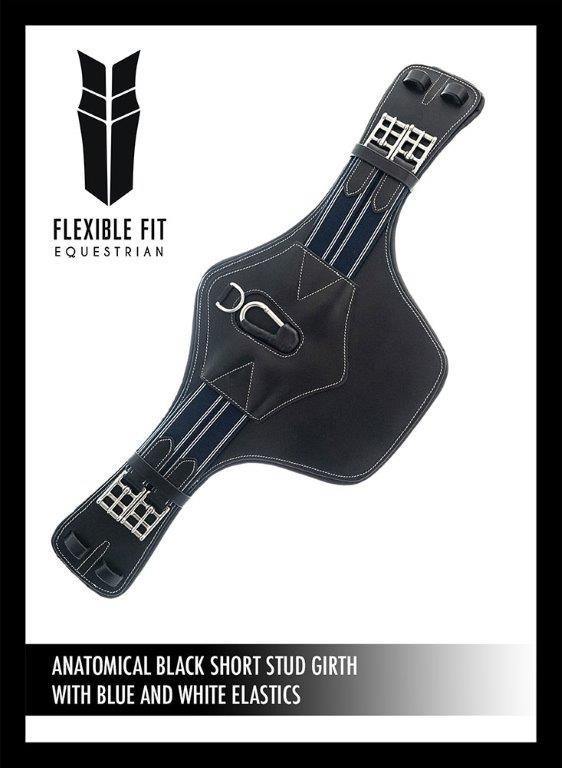 ANATOMICAL BLACK SHORT STUD GIRTH - BLUE AND WHITE ELASTIC - Flexible Fit Equestrian Australia