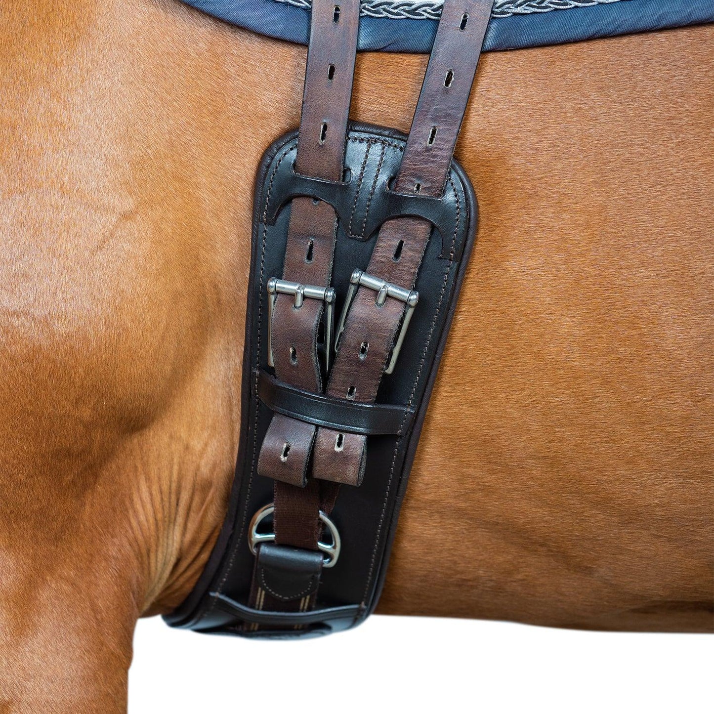 Anatomical Inbuilt Elastic Dressage Girths