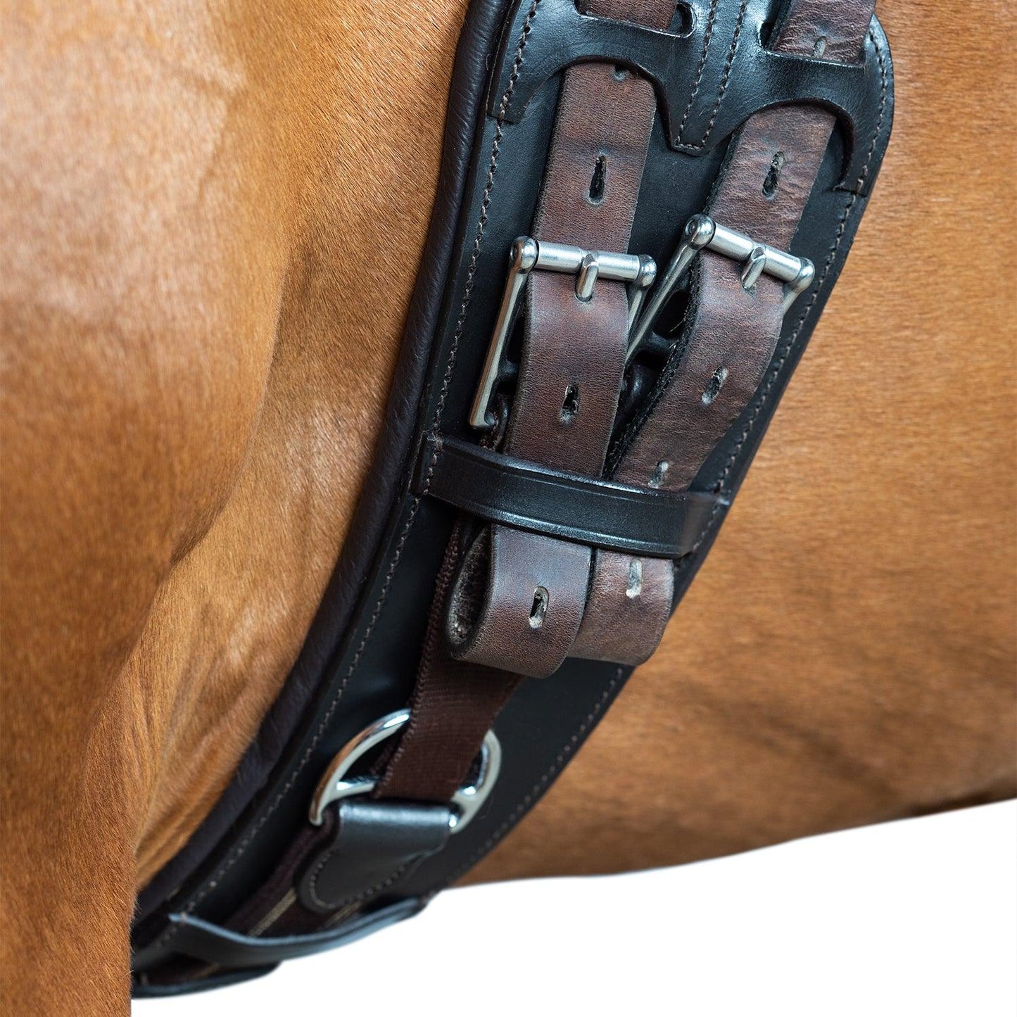 Anatomical Inbuilt Elastic Dressage Girths