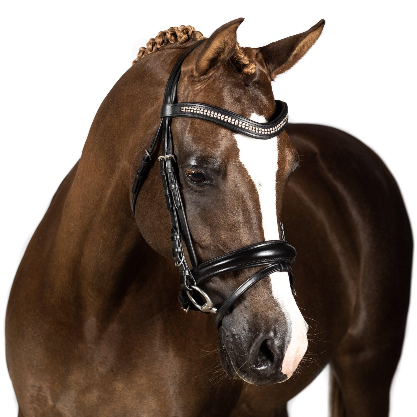 Black Snaffle Bridle 'Paradise' - Flexible Fit Equestrian Australia