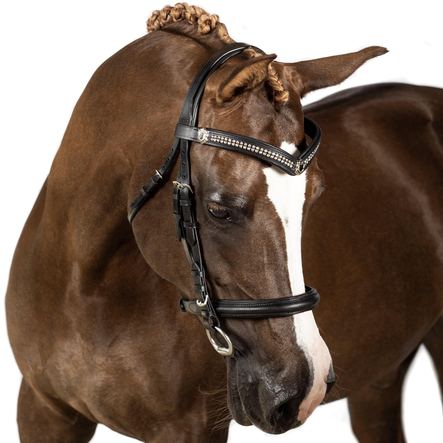 Black Snaffle Bridle 'Spellbound' - Flexible Fit Equestrian Australia