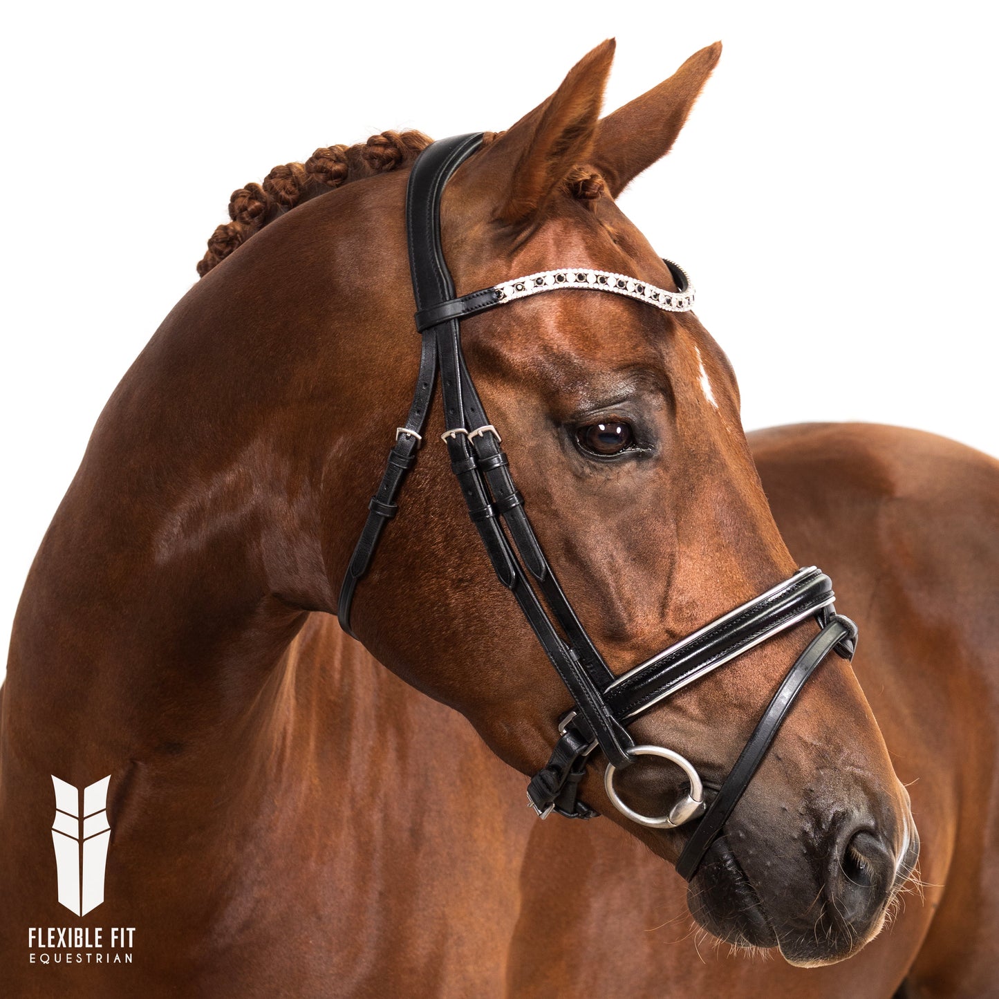 Premium Black Snaffle Bridle 'Solstice'