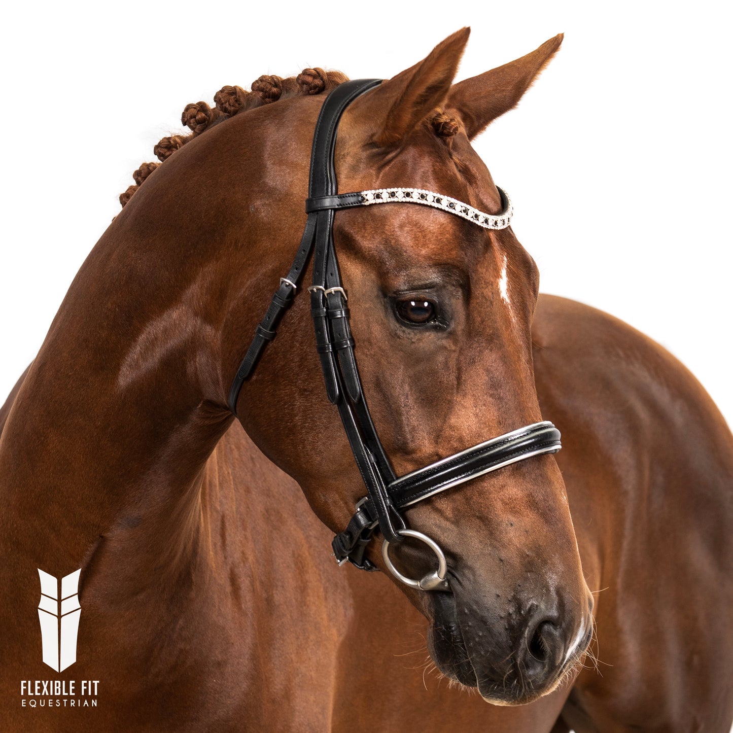 Premium Black Snaffle Bridle 'Solstice'