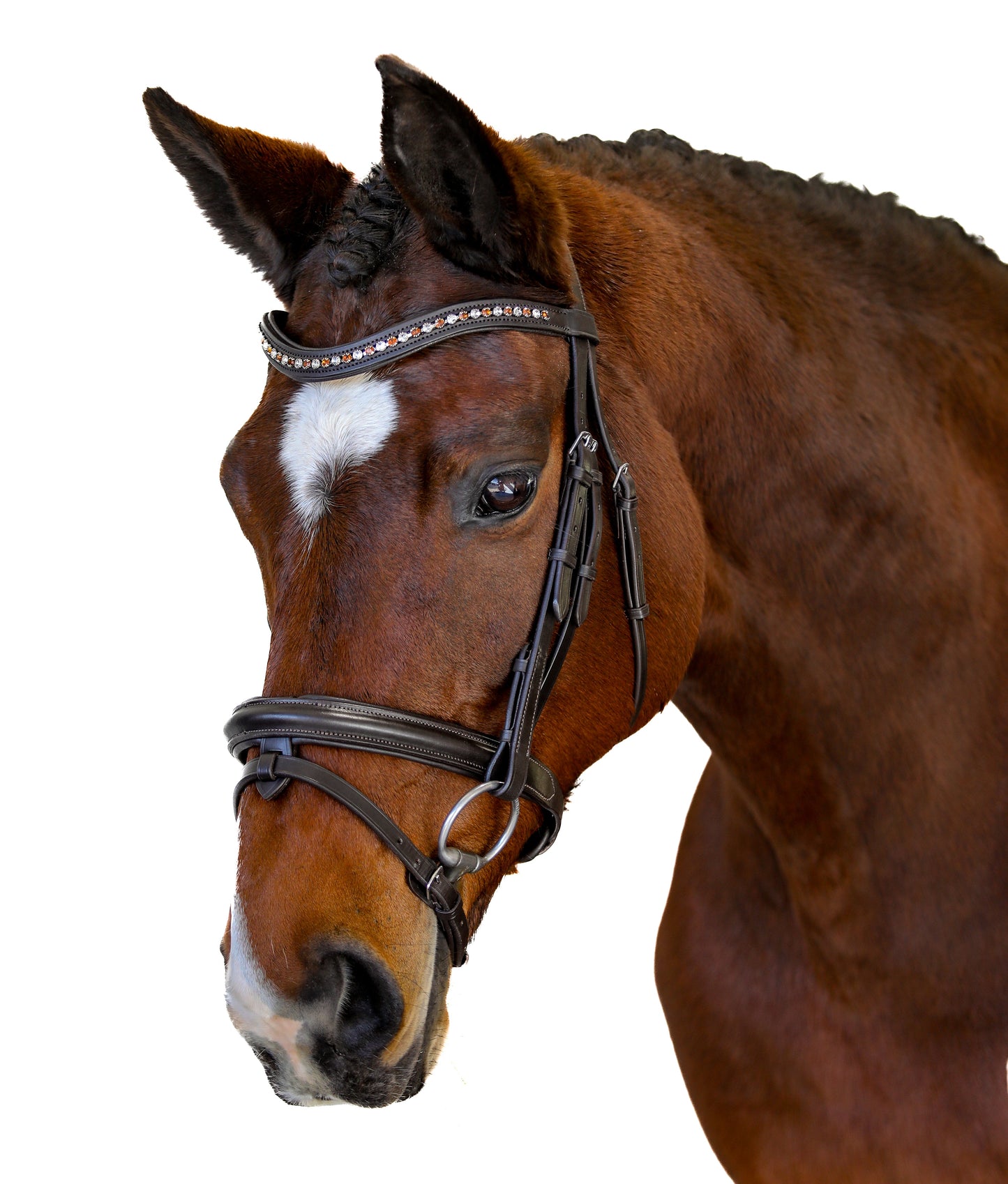 Premium Havana Snaffle Bridle 'Conquest'