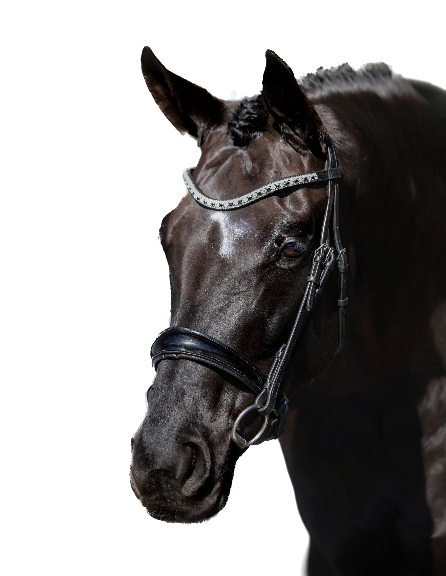 Premium Black Snaffle Bridle 'Cadence'