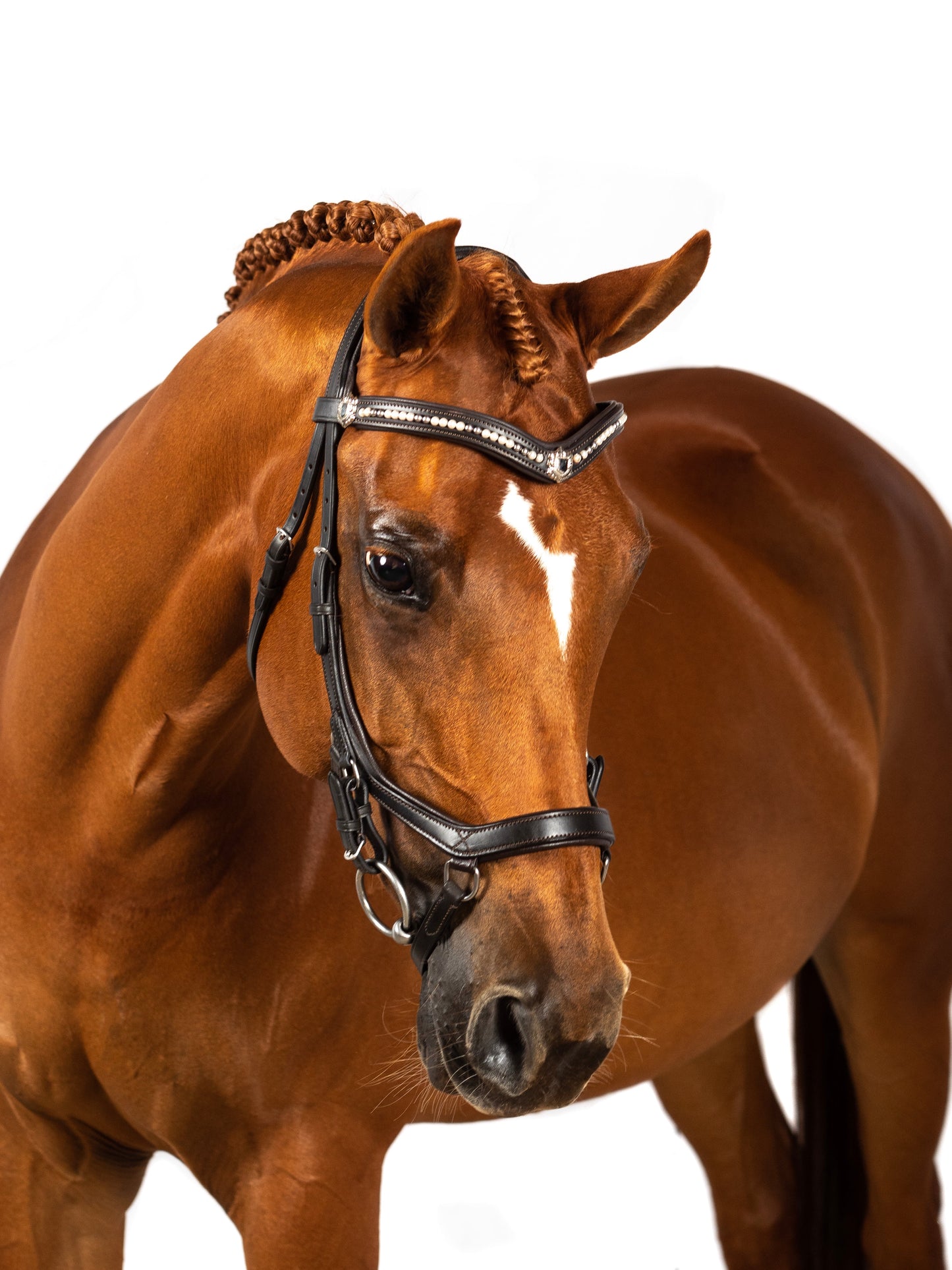 Premium Havana Comfort Bridle 'Ventura'