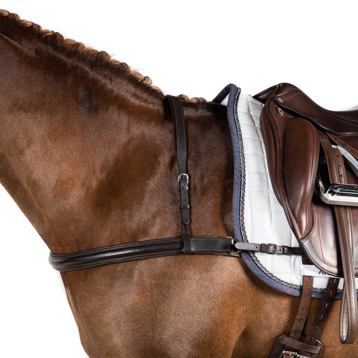 Dressage Straight Breastplate