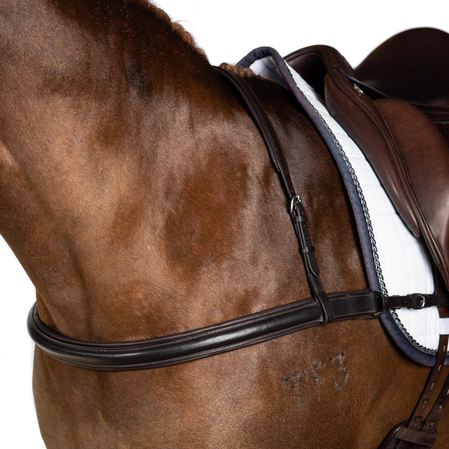 Dressage Straight Breastplate