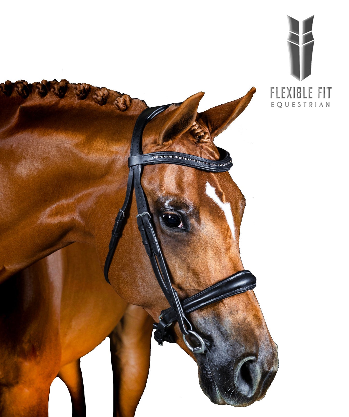 Premium Black Snaffle Bridle 'Britannia'