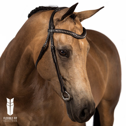 Havana Nosebandless Bridle 'Regatta'