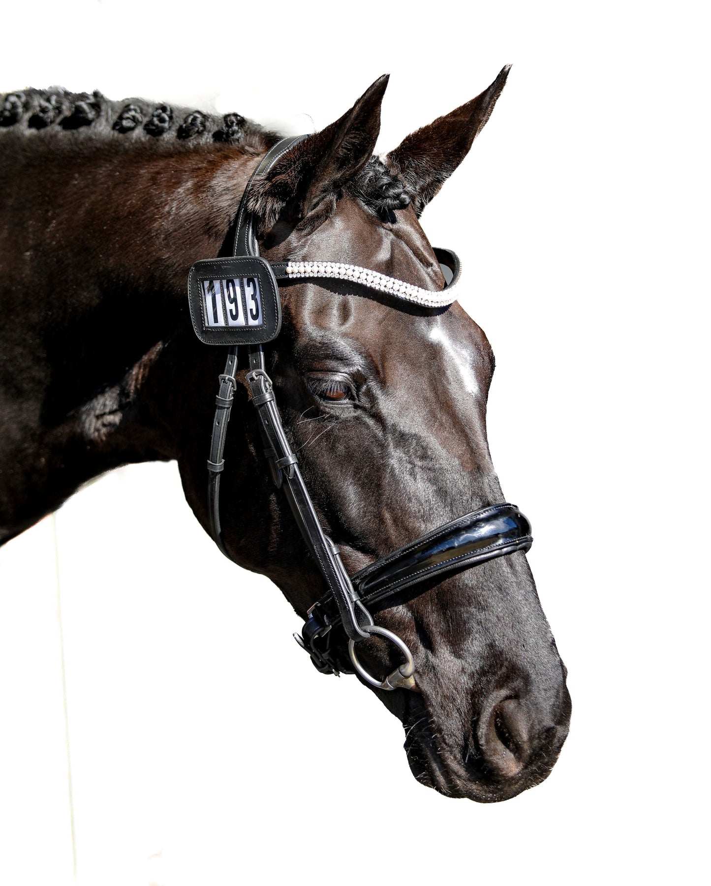 LEATHER BRIDLE NUMBER HOLDERS