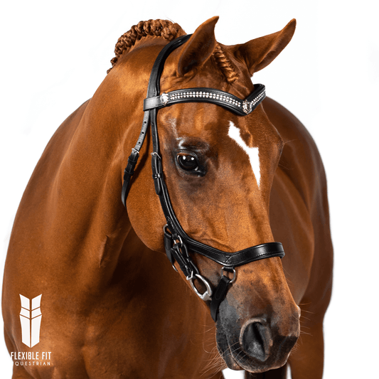 Premium Black Comfort Bridle 'Solace' - Flexible Fit Equestrian Australia