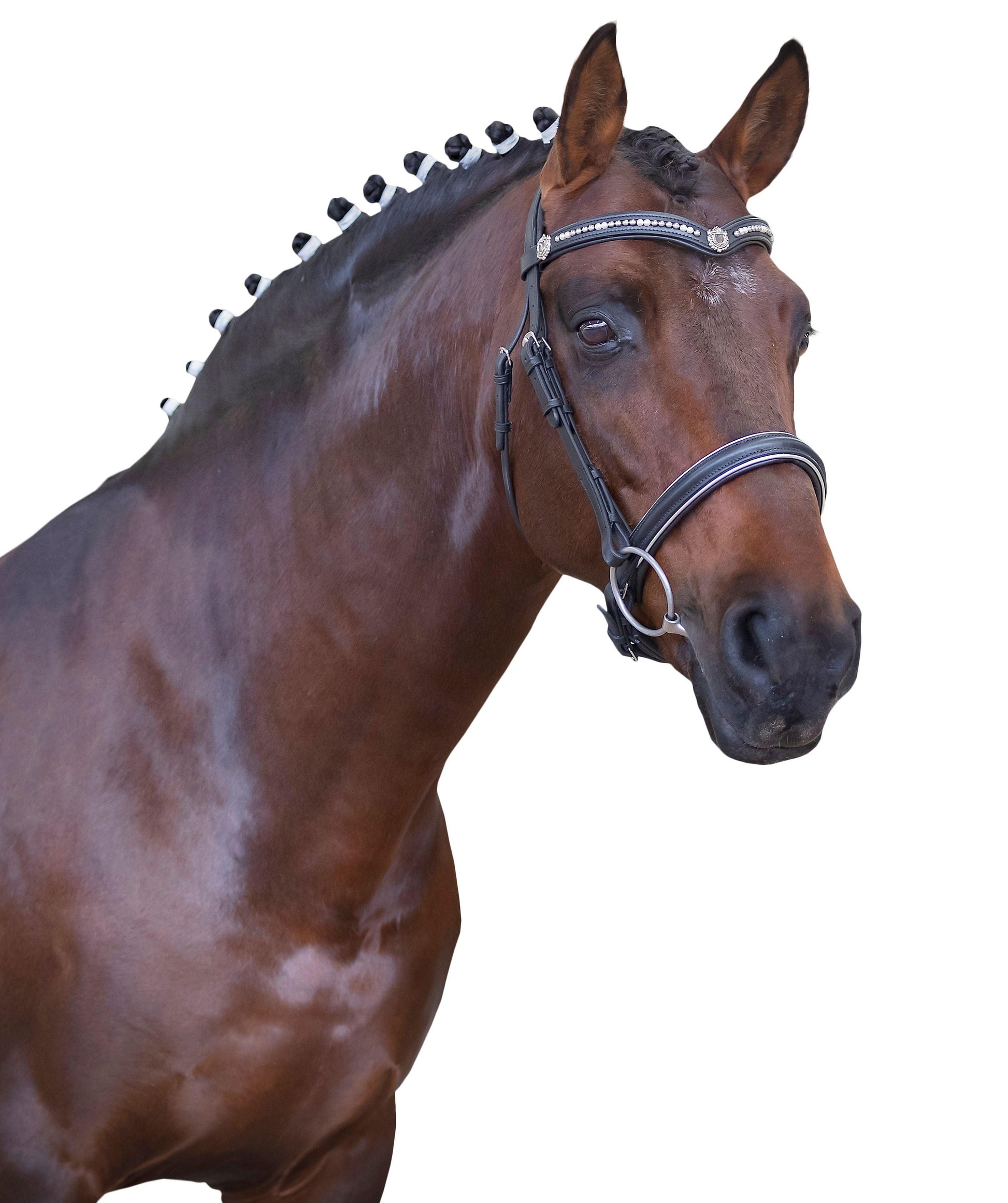 Premium Black Snaffle Bridle 'Aries' - Flexible Fit Equestrian Australia