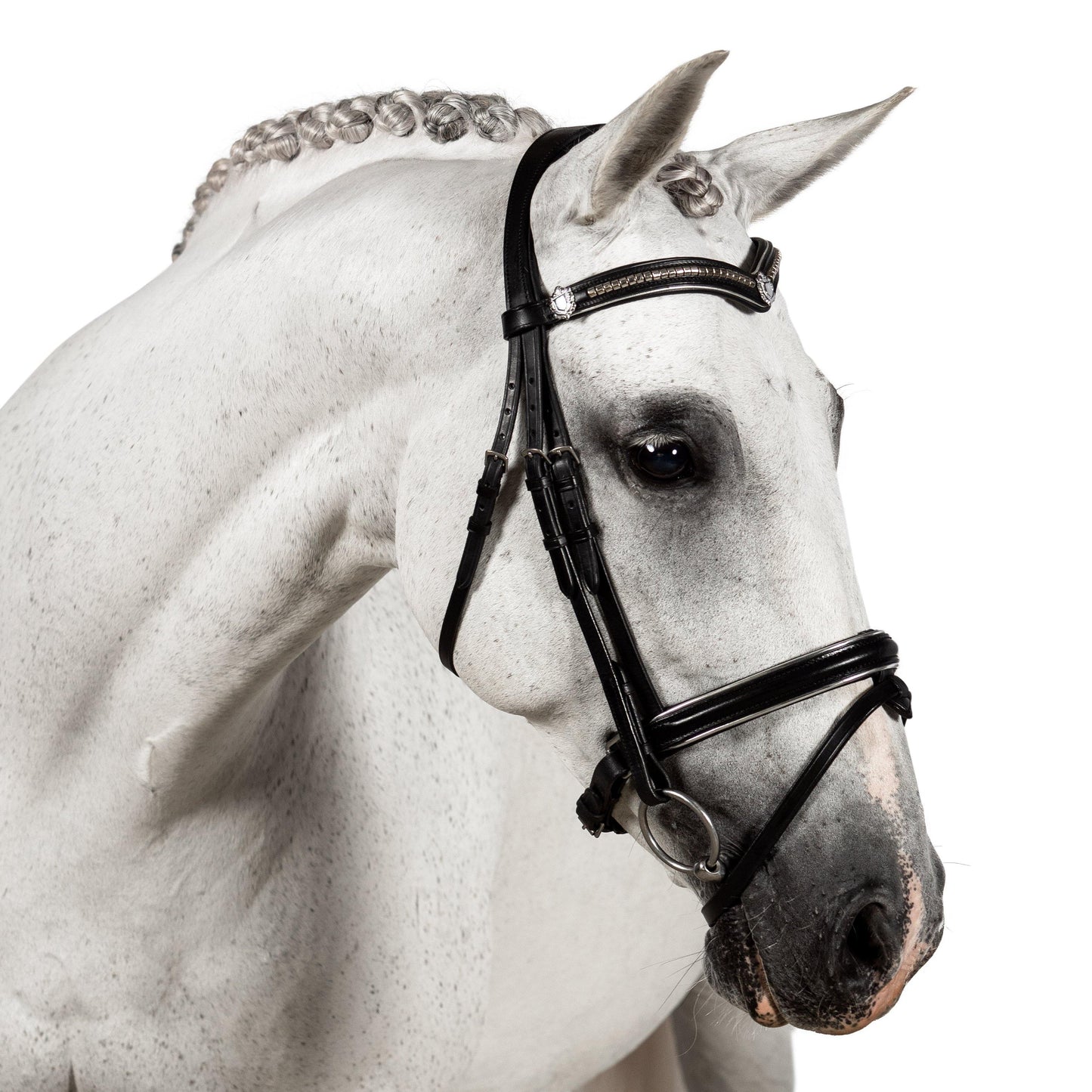 Premium Black Snaffle Bridle 'Athena' - Flexible Fit Equestrian Australia