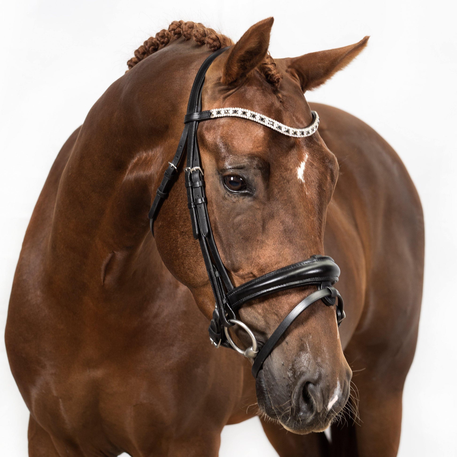 Premium Black Snaffle Bridle 'Cadence' - Flexible Fit Equestrian Australia