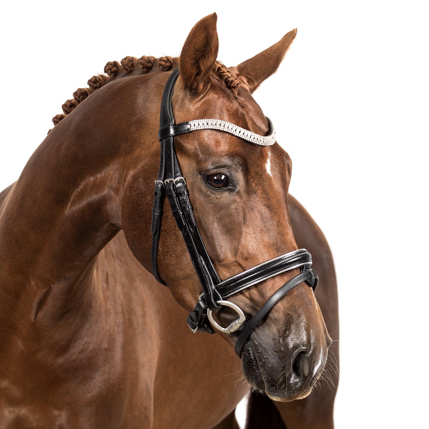 Premium Black Snaffle Bridle 'Elegance' - Flexible Fit Equestrian Australia