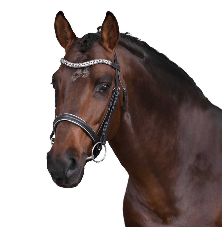 Premium Black Snaffle Bridle 'Oasis' - Flexible Fit Equestrian Australia