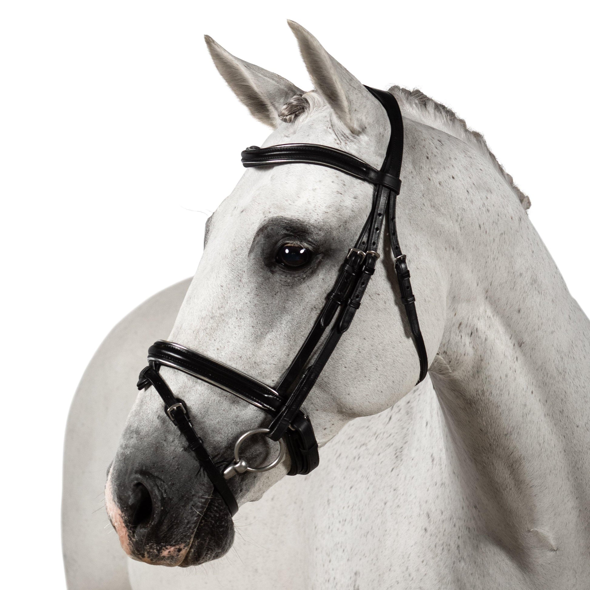 Premium Black Snaffle Bridle 'Senna' - Flexible Fit Equestrian Australia