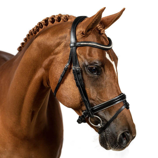 Premium Black Snaffle Bridle 'Symphony' - Flexible Fit Equestrian Australia