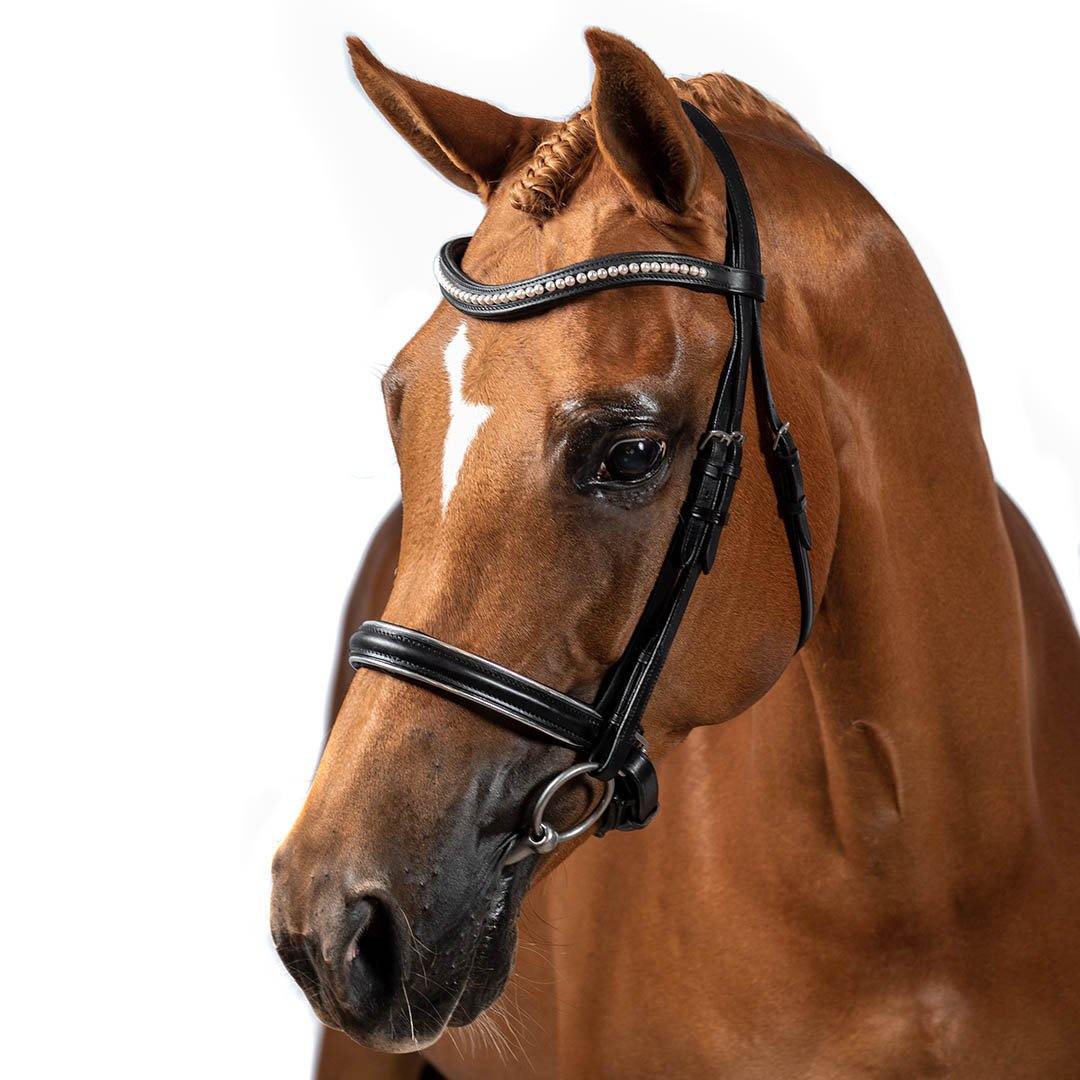 Premium Black Snaffle Bridle 'Symphony' - Flexible Fit Equestrian Australia