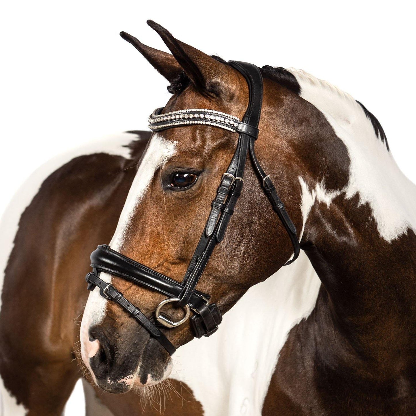 Premium Black Snaffle Bridle 'Valkyrie' - Flexible Fit Equestrian Australia