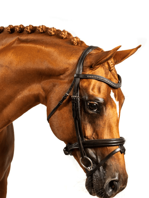 Premium Havana Snaffle Bridle 'Allure' - Flexible Fit Equestrian Australia