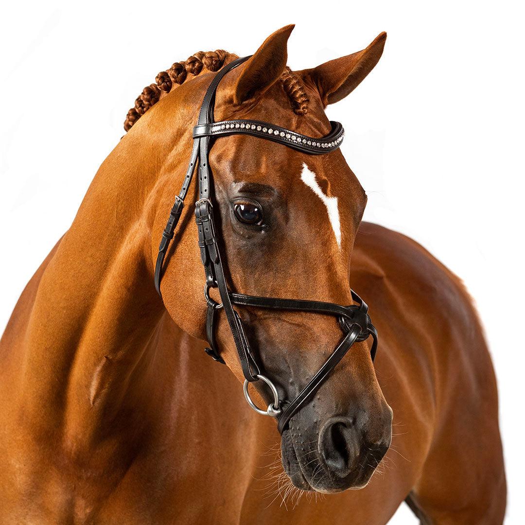 Premium Havana Snaffle Bridle 'Arcadia' - Flexible Fit Equestrian Australia