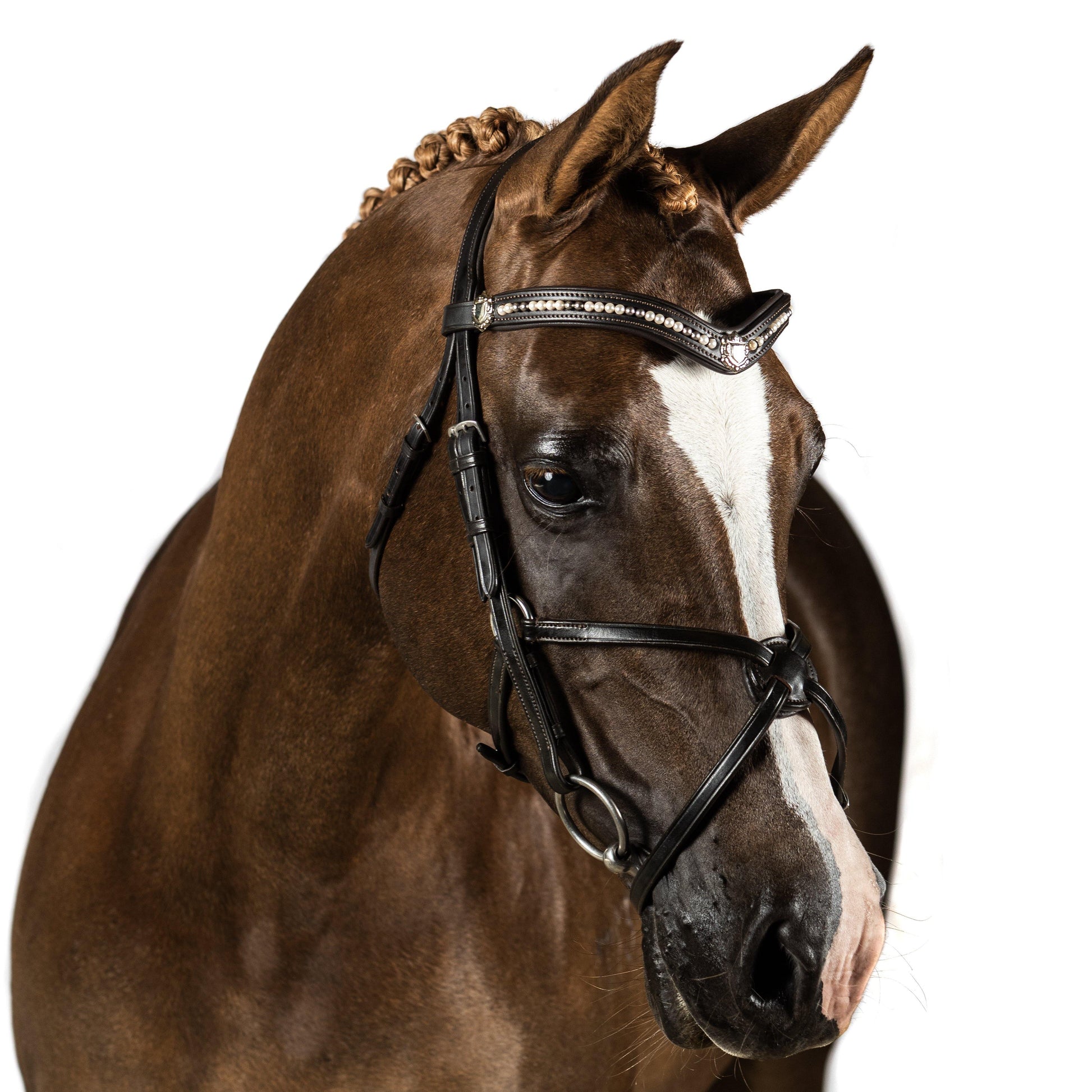 Premium Havana Snaffle Bridle 'Quantum' - Flexible Fit Equestrian Australia