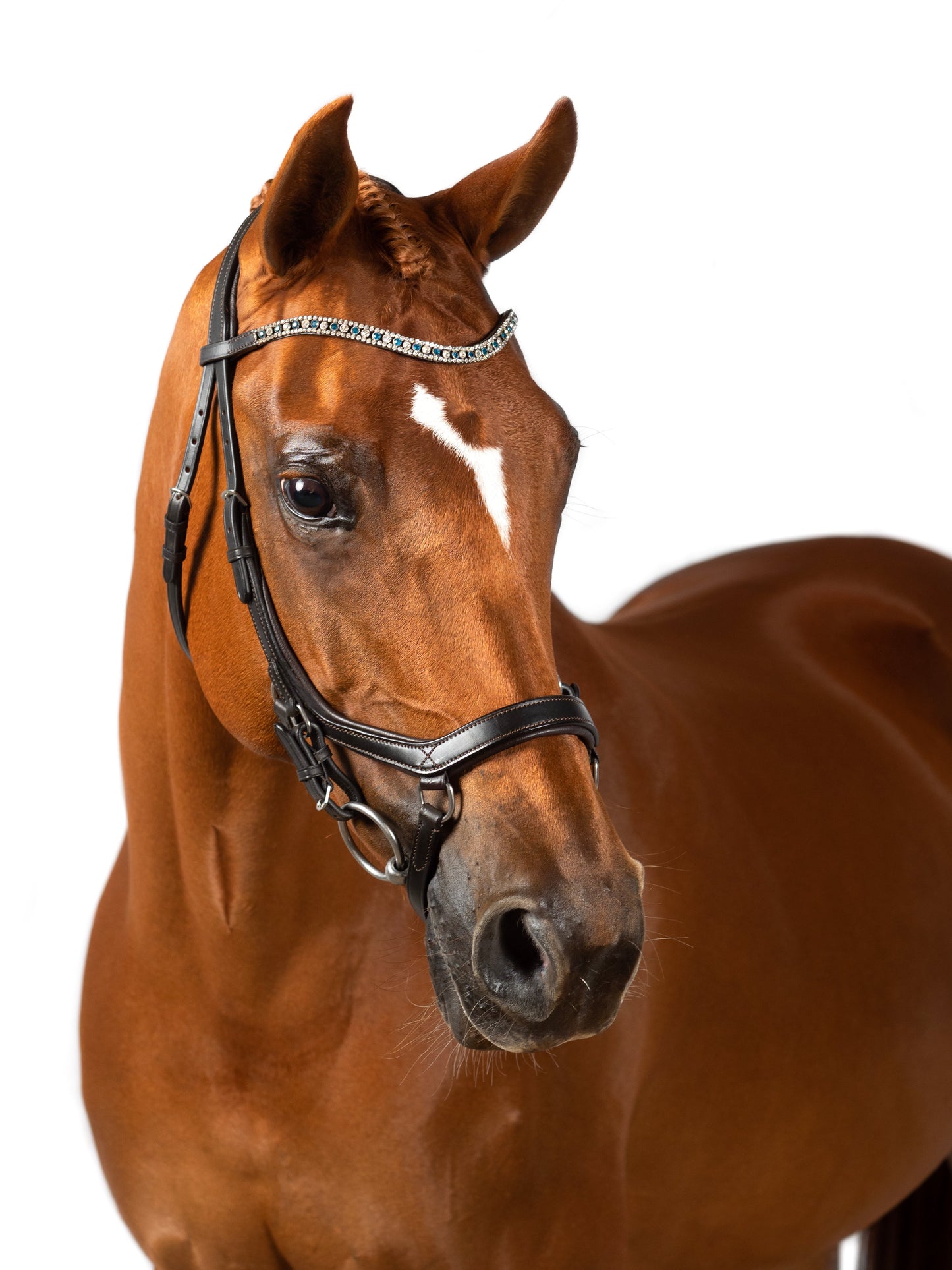 Premium Havana Comfort Bridle 'Xpedition'