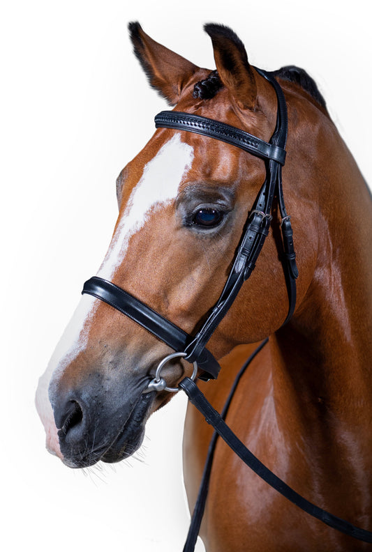 Premium Black Show Snaffle Bridle 'Taras'